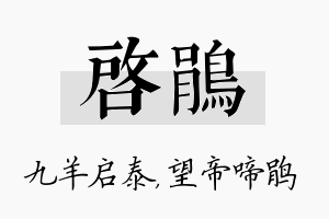 启鹃名字的寓意及含义