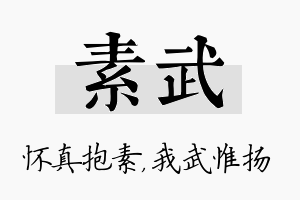 素武名字的寓意及含义