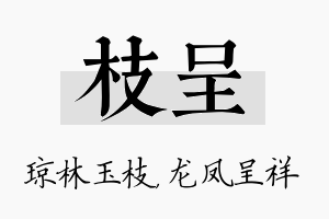 枝呈名字的寓意及含义