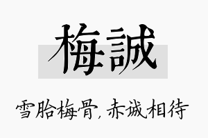 梅诚名字的寓意及含义