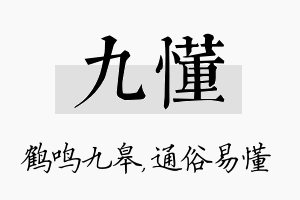 九懂名字的寓意及含义