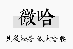 微哈名字的寓意及含义