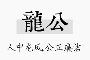 龙公名字的寓意及含义