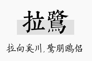 拉鹭名字的寓意及含义