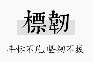 标韧名字的寓意及含义