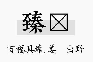 臻嫄名字的寓意及含义