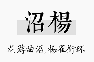 沼杨名字的寓意及含义