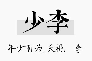 少李名字的寓意及含义