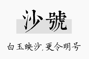 沙号名字的寓意及含义