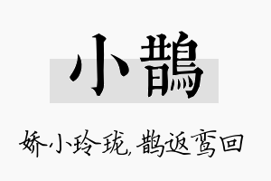 小鹊名字的寓意及含义