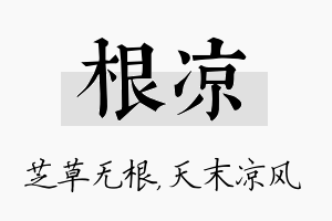 根凉名字的寓意及含义