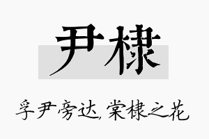 尹棣名字的寓意及含义