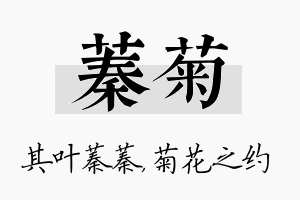 蓁菊名字的寓意及含义