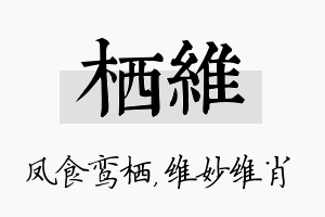 栖维名字的寓意及含义