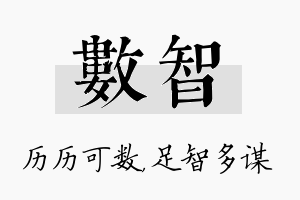 数智名字的寓意及含义