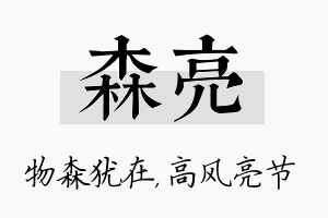 森亮名字的寓意及含义