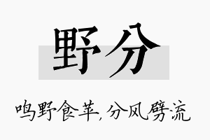 野分名字的寓意及含义