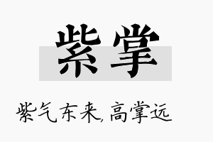 紫掌名字的寓意及含义