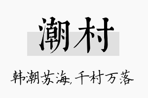 潮村名字的寓意及含义