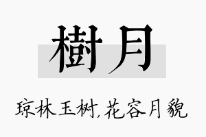 树月名字的寓意及含义