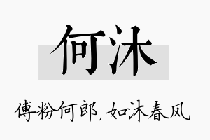 何沐名字的寓意及含义