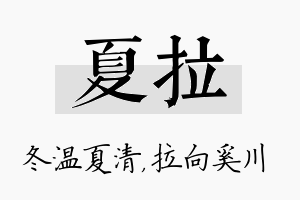 夏拉名字的寓意及含义