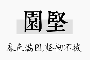 园坚名字的寓意及含义