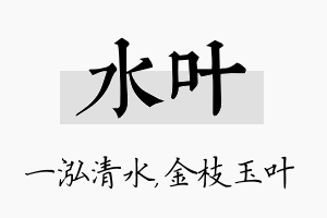 水叶名字的寓意及含义