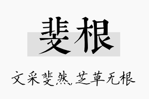 斐根名字的寓意及含义