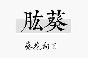 肱葵名字的寓意及含义