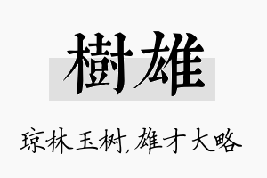 树雄名字的寓意及含义