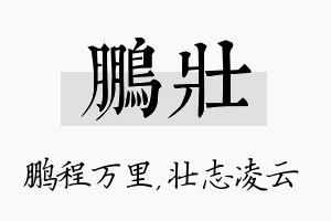 鹏壮名字的寓意及含义