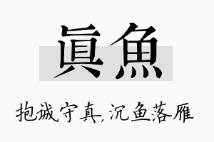 真鱼名字的寓意及含义