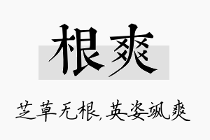 根爽名字的寓意及含义