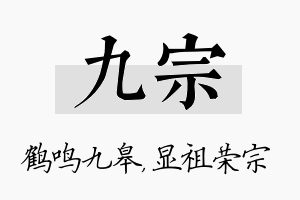 九宗名字的寓意及含义