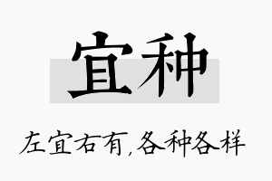 宜种名字的寓意及含义