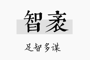 智袤名字的寓意及含义