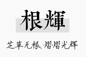 根辉名字的寓意及含义