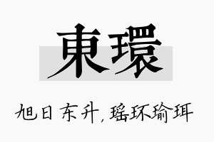 东环名字的寓意及含义