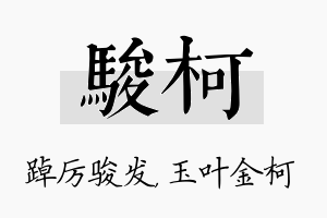 骏柯名字的寓意及含义