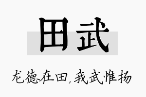 田武名字的寓意及含义