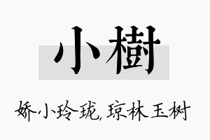 小树名字的寓意及含义