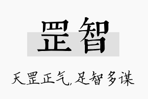 罡智名字的寓意及含义