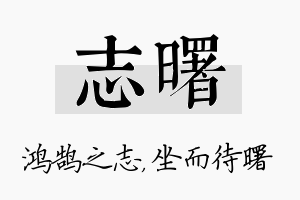 志曙名字的寓意及含义