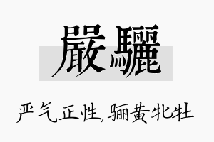 严骊名字的寓意及含义