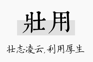 壮用名字的寓意及含义