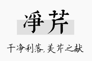 净芹名字的寓意及含义