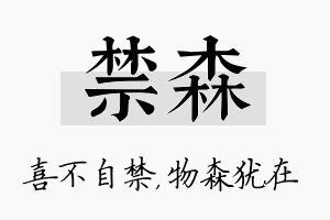 禁森名字的寓意及含义