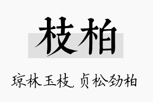 枝柏名字的寓意及含义