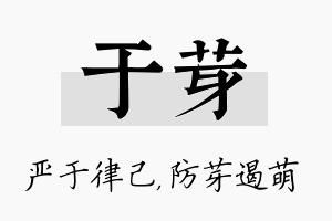 于芽名字的寓意及含义